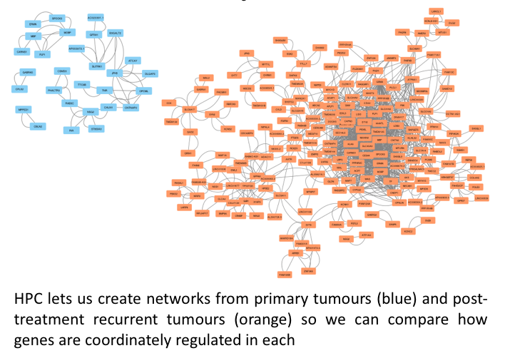 A network graph of different genes that are regulated between primary and recurrent GBM tumours.